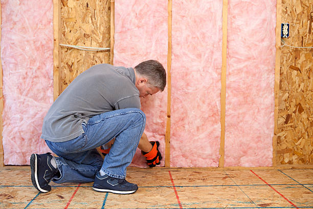 Best Insulation for New Construction  in Monongahela, PA